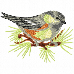 Small Birds Embroidery Design 10 Small Birds Embroidery Design 10